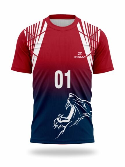 Blizzard Kabaddi Jersey Set